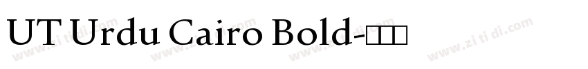 UT Urdu Cairo Bold字体转换